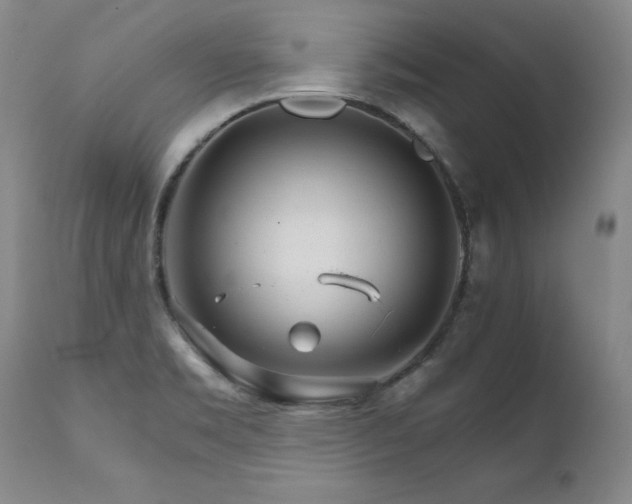 X0000111931469200907271301