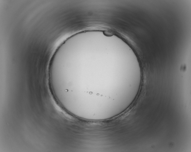 X0000111931471200907271301