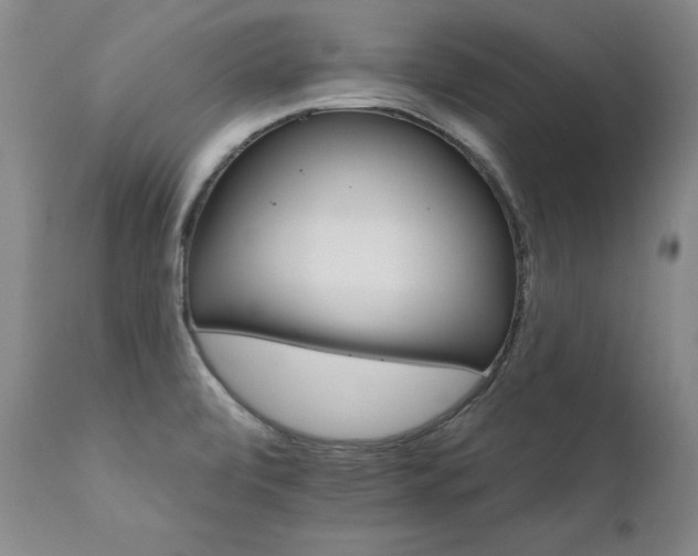 X0000111931472200907271301