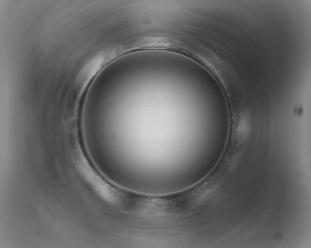 X0000111931475200907271301
