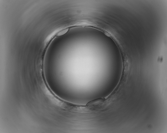 X0000111931476200907271301