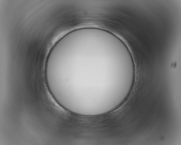 X0000111931477200907271301