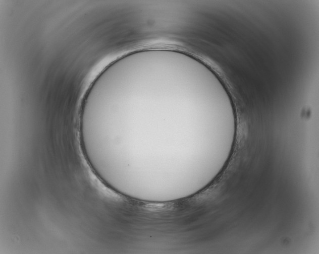 X0000111931478200907271301