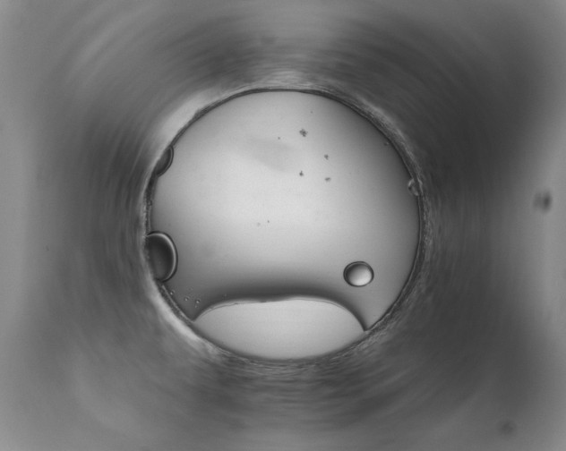 X0000111931479200907271301