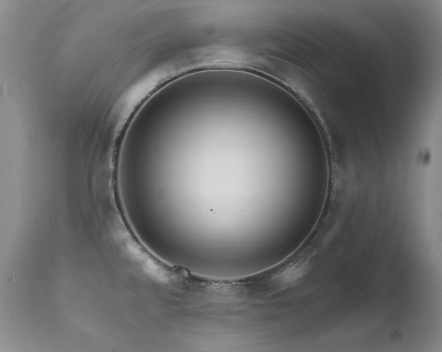 X0000111931480200907271301