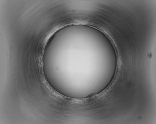X0000111931481200907271301