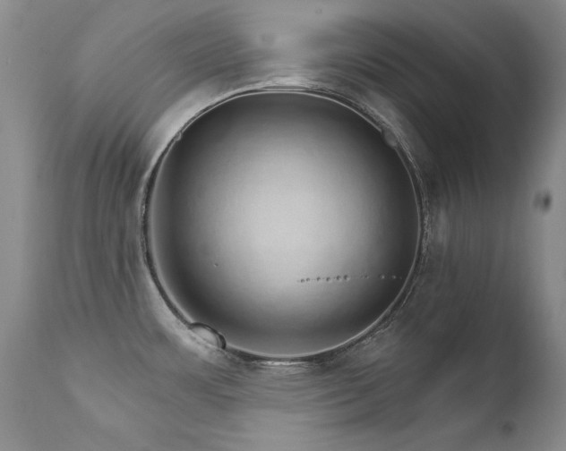 X0000111931483200907271301