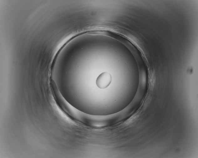 X0000111931484200907271301