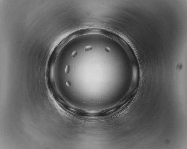 X0000111931485200907271301