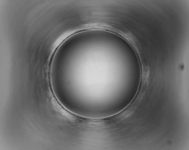 X0000111931486200907271301