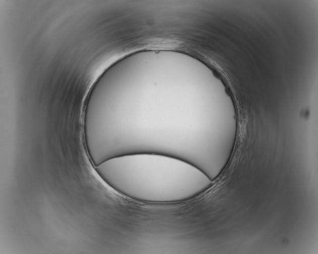 X0000111931487200907271301