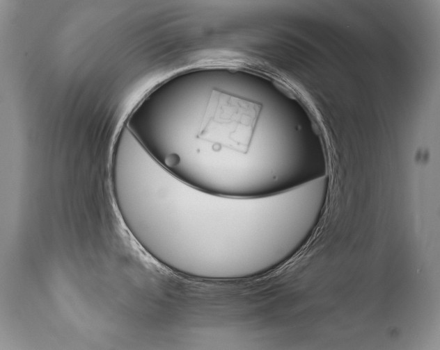 X0000111931488200907271301