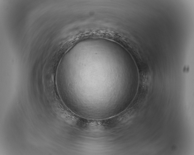 X0000111931489200907271300