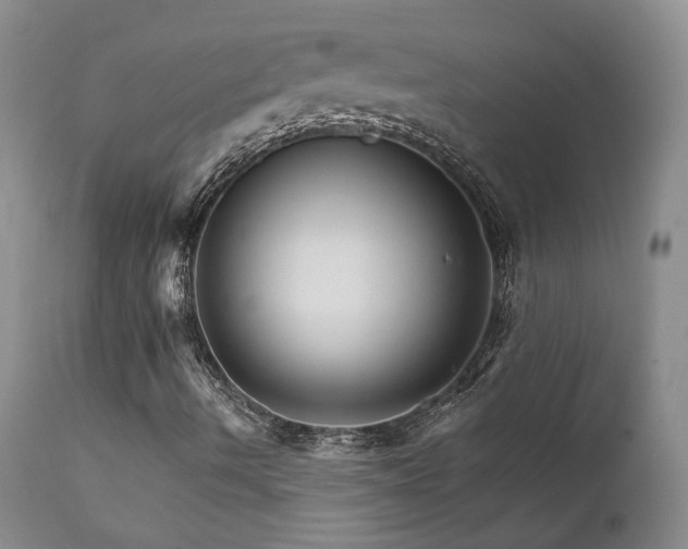 X0000111931490200907271300