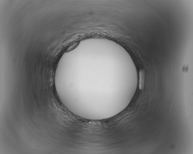 X0000111931491200907271301