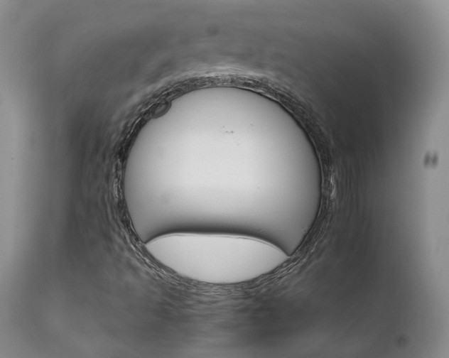 X0000111931493200907271301