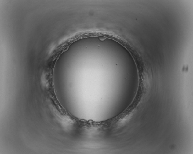 X0000111931494200907271301