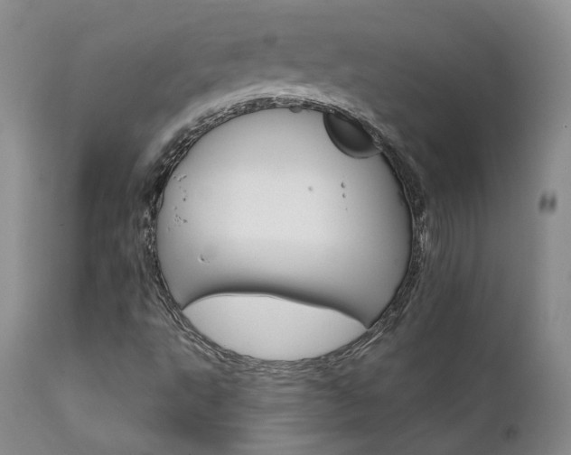 X0000111931495200907271301
