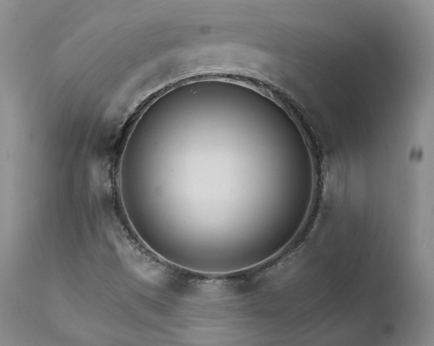X0000111931497200907271301