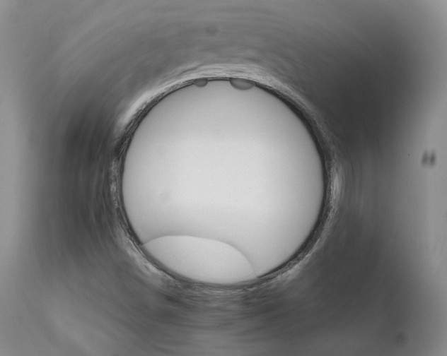 X0000111931498200907271301