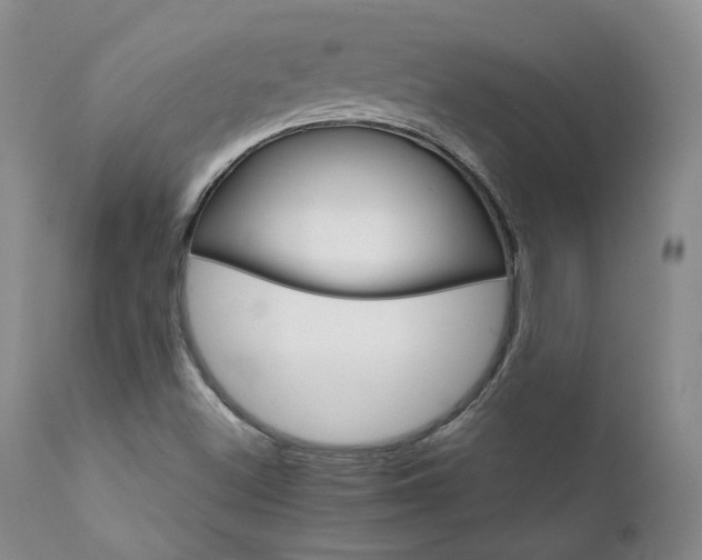 X0000111931500200907271301