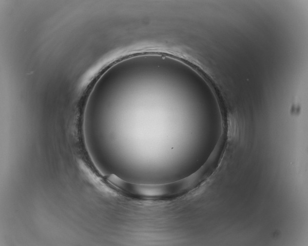 X0000111931502200907271301