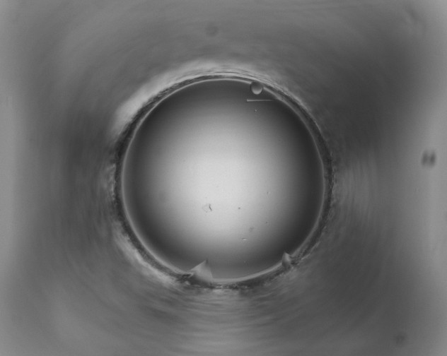 X0000111931503200907271301