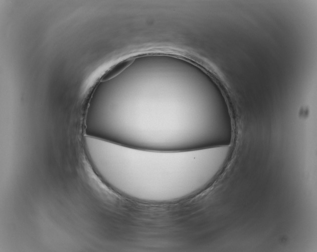 X0000111931504200907271301
