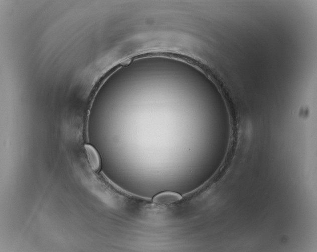 X0000111931505200907271301