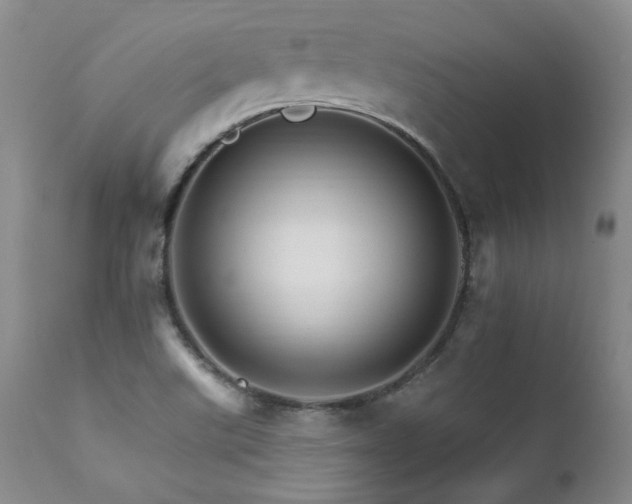 X0000111931507200907271301