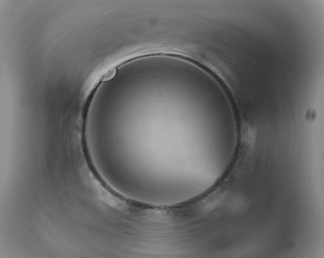 X0000111931508200907271301
