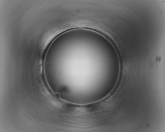 X0000111931509200907271301
