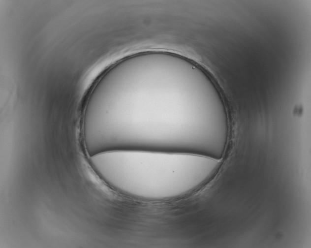 X0000111931511200907271301