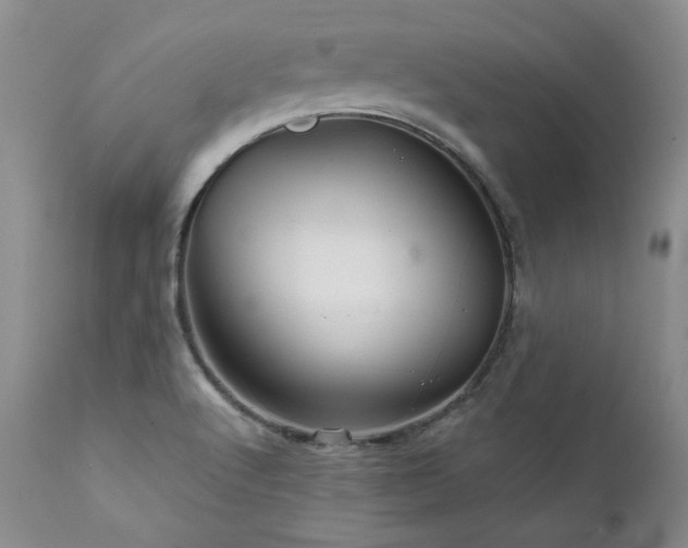 X0000111931512200907271301