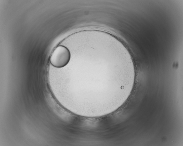 X0000111931514200907271301