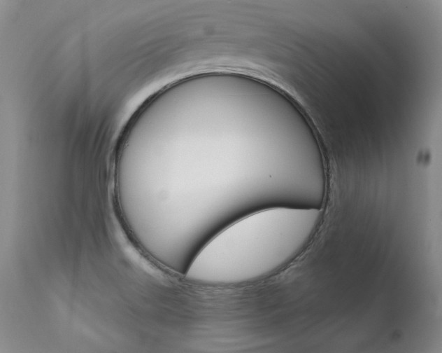 X0000111931515200907271301
