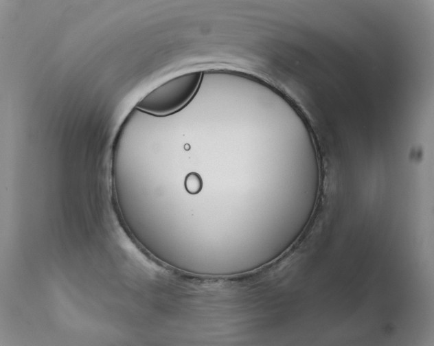 X0000111931516200907271301