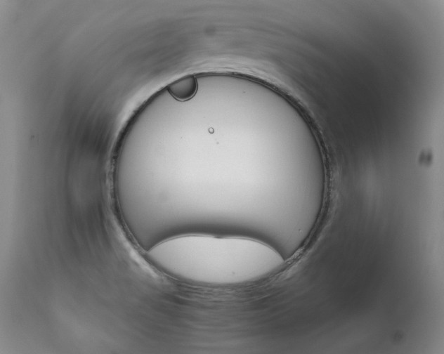 X0000111931517200907271301