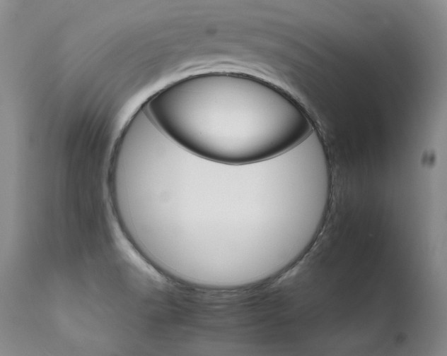 X0000111931518200907271301