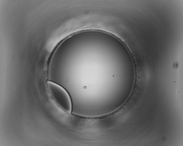X0000111931519200907271301