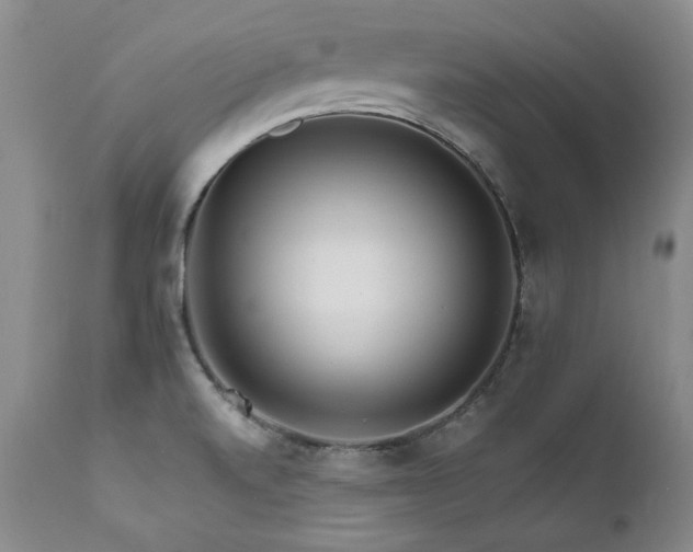 X0000111931520200907271301