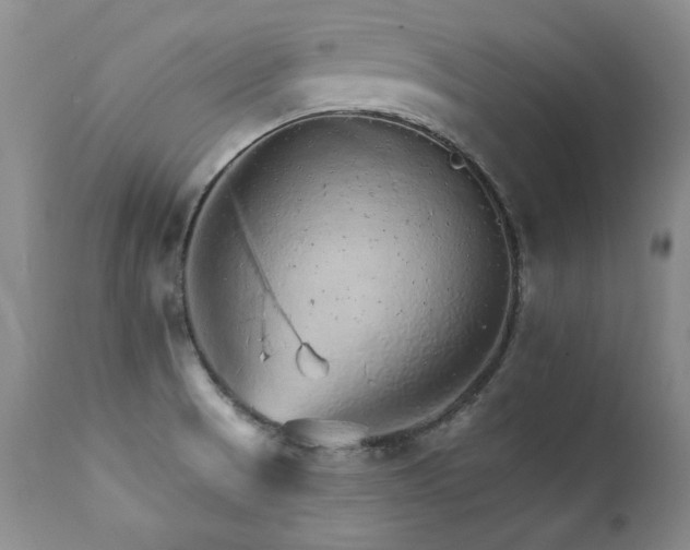 X0000111931521200907271301