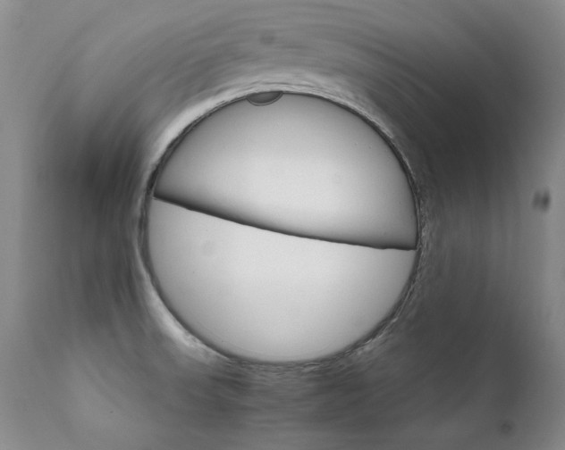 X0000111931523200907271301