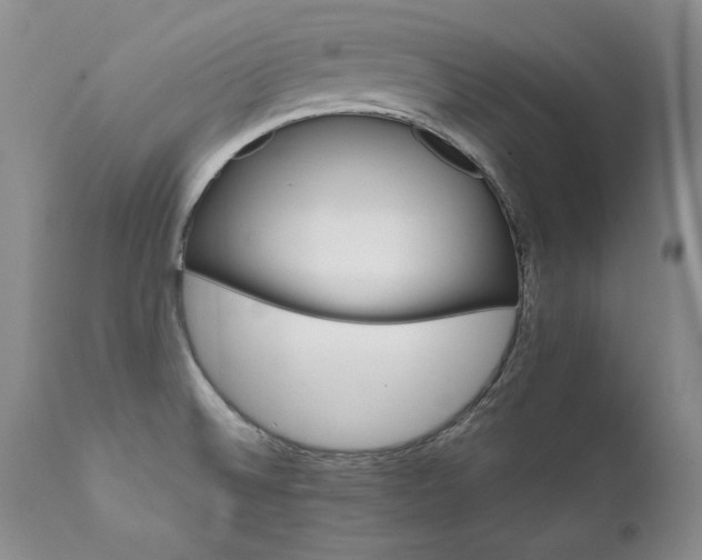 X0000111931524200907271301