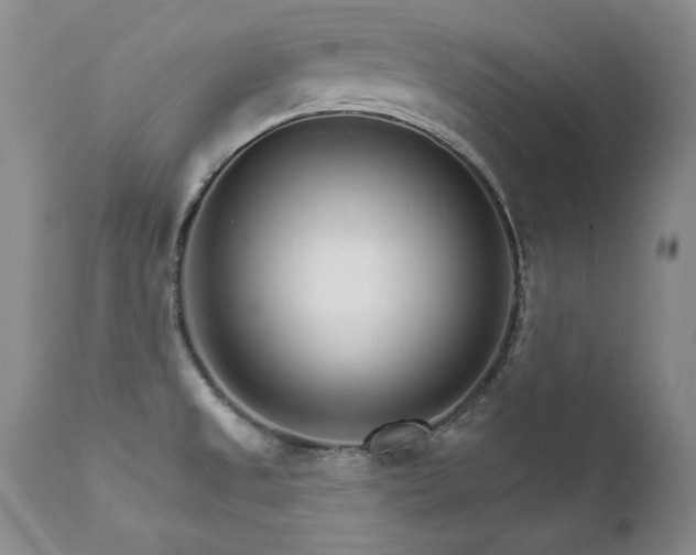 X0000111931525200907271301