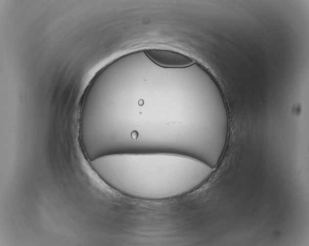 X0000111931526200907271301