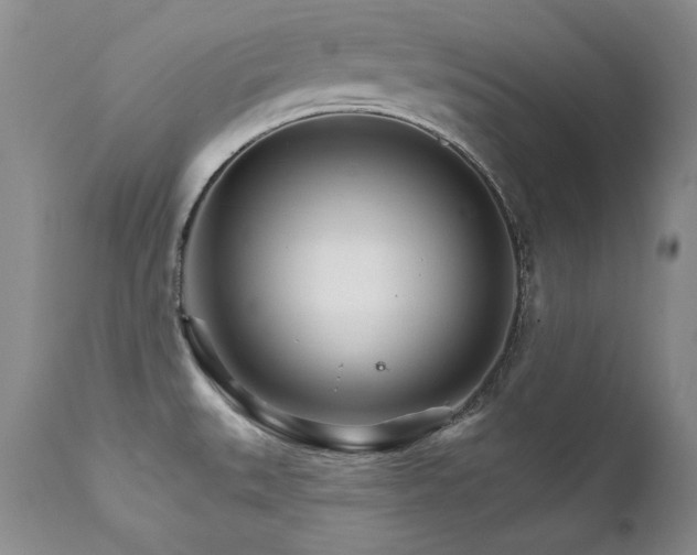X0000111931527200907271301