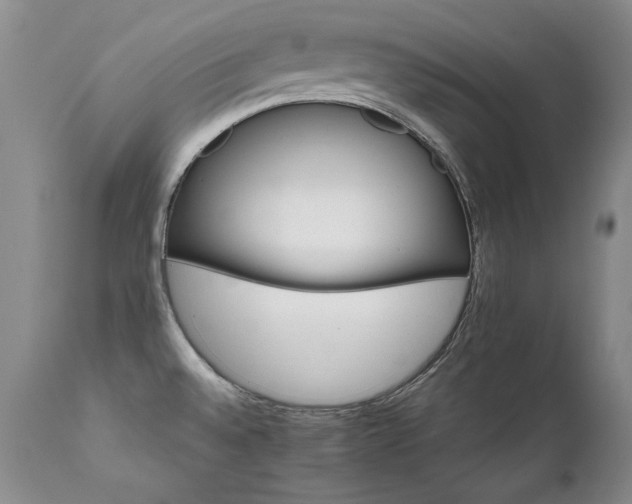 X0000111931528200907271301