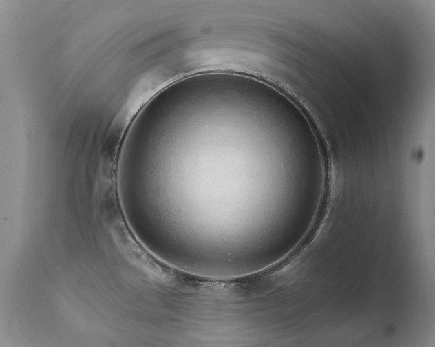 X0000111931529200907271301