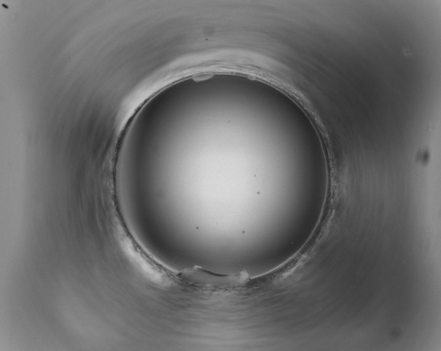 X0000111931530200907271301